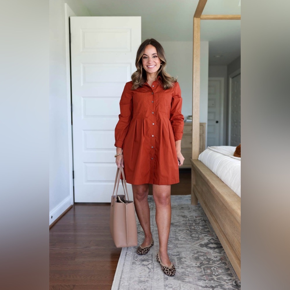 Banana Republic Terracotta Shirt Dress